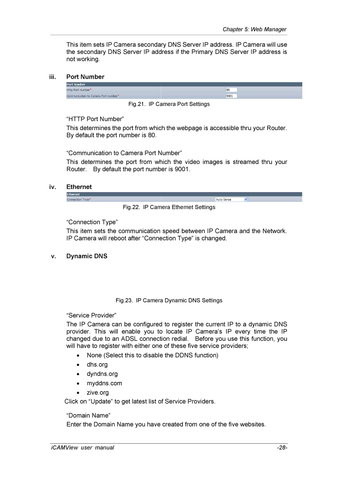 deXlan 050862 user manual Iii. Port Number, Iv. Ethernet, Dynamic DNS 