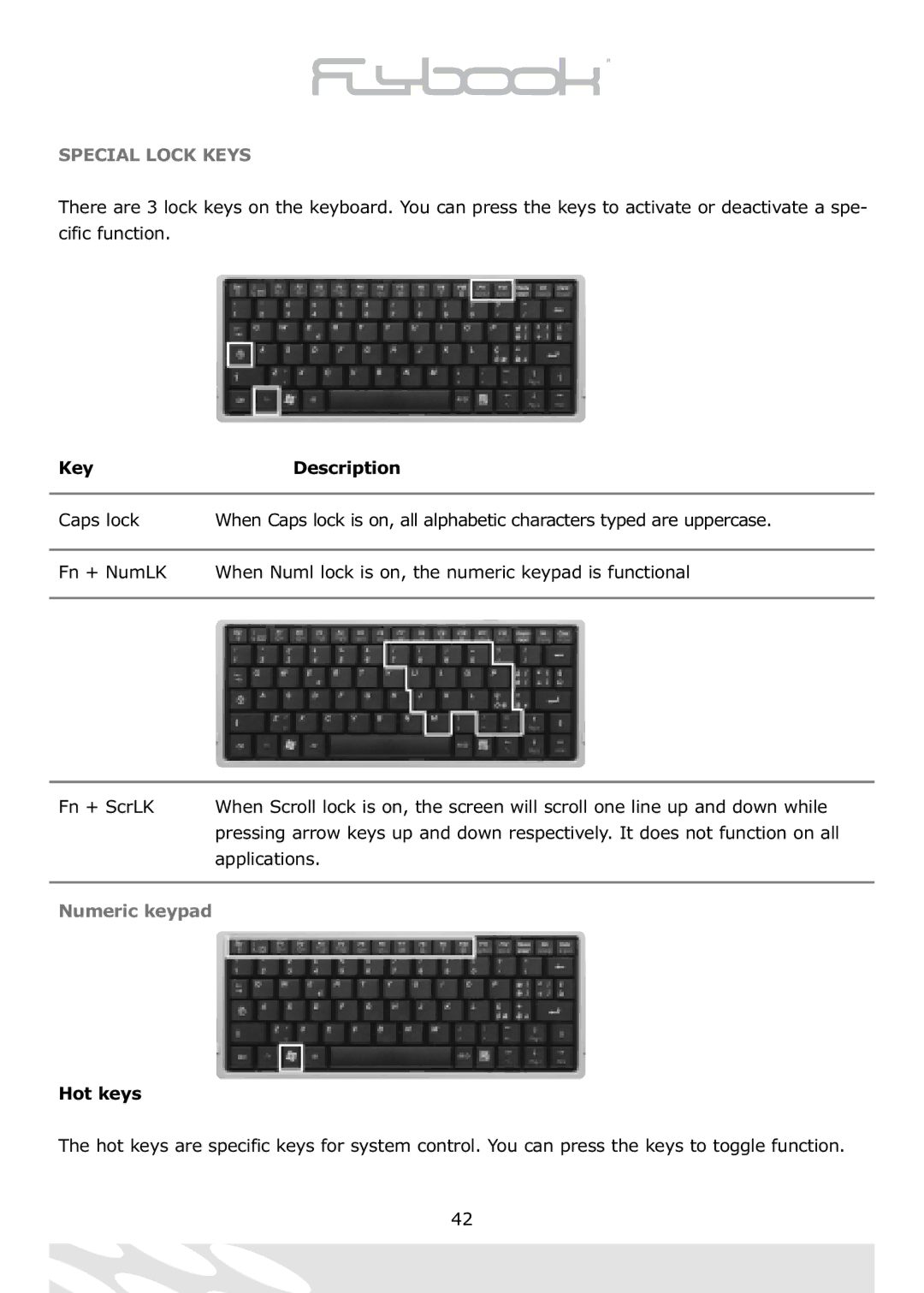 Dialogue Tech Flybook 3G Notebook PC user manual Special Lock Keys, Hot keys 