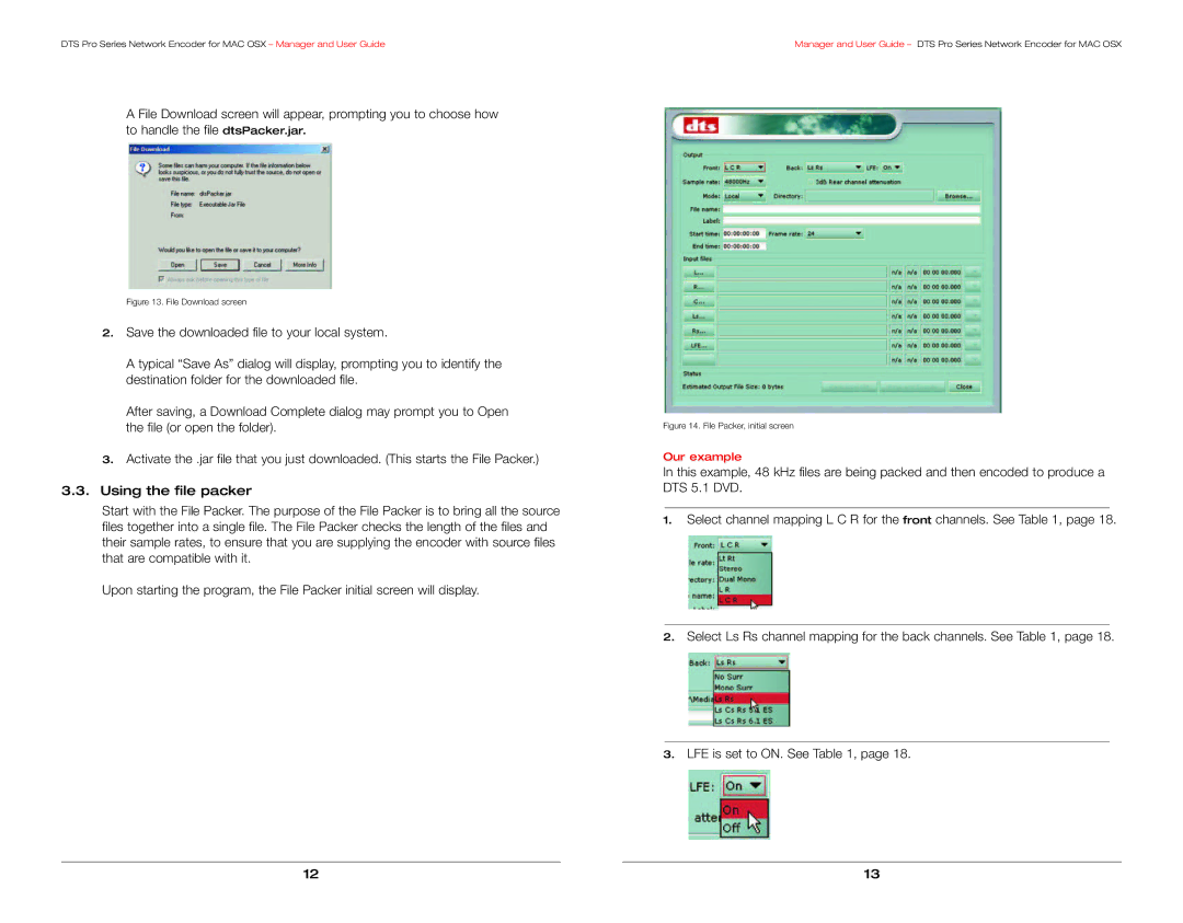 DTS DTS Pro Series manual Our example 