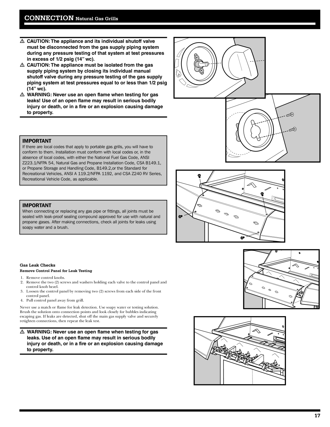 Ducane 31-3200 owner manual Gas Leak Checks, Remove Control Panel for Leak Testing 