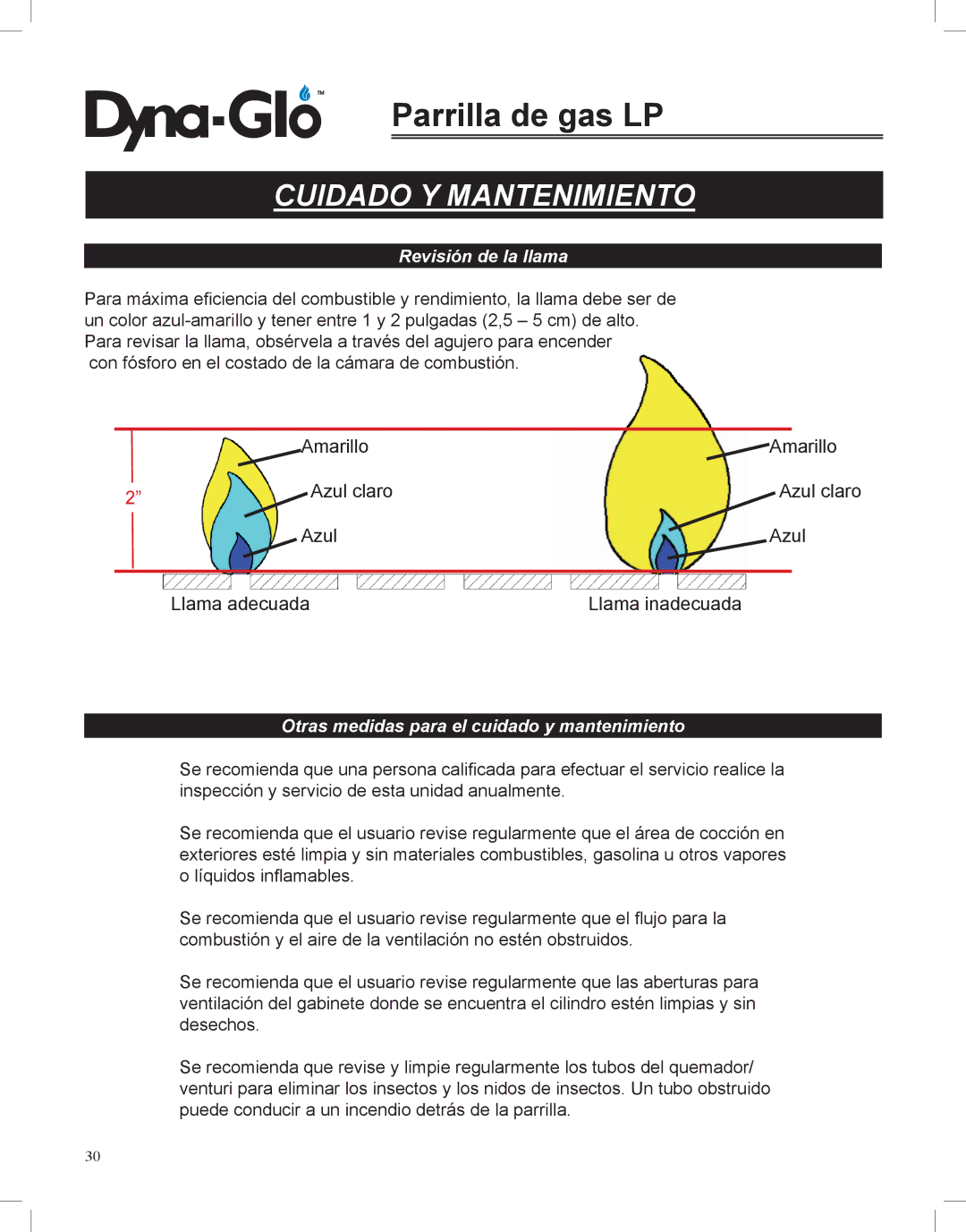 Dyna-Glo DGP350NP-D user manual Revisión de la llama, Otras medidas para el cuidado y mantenimiento 