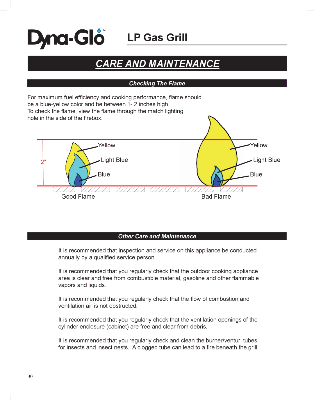 Dyna-Glo DGP350NP-D user manual Checking The Flame, Other Care and Maintenance 