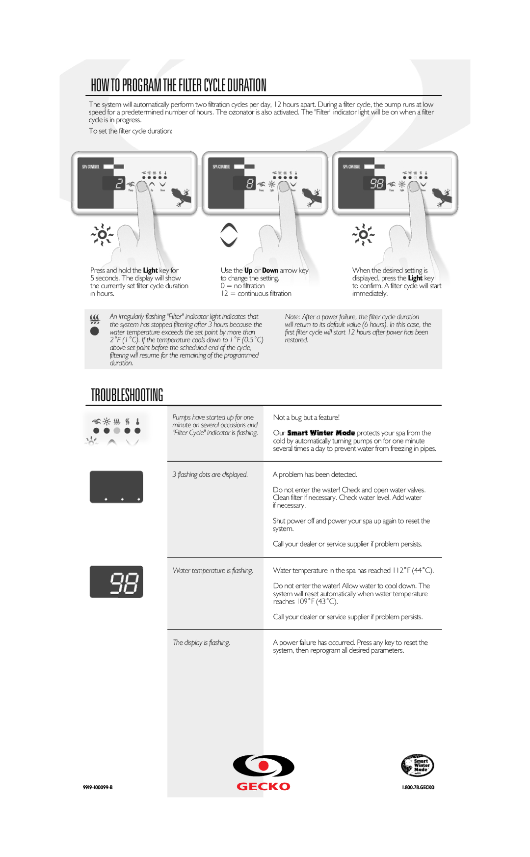 Dynasty Spas SSPA-1 manual Flashing dots are displayed, Display is flashing 