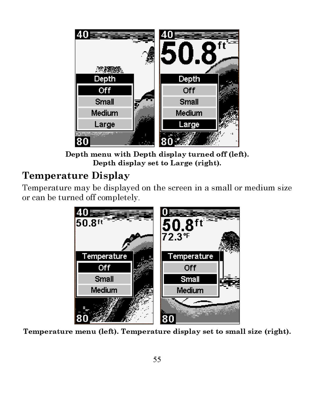 Eagle Electronics 245DS manual Temperature Display 