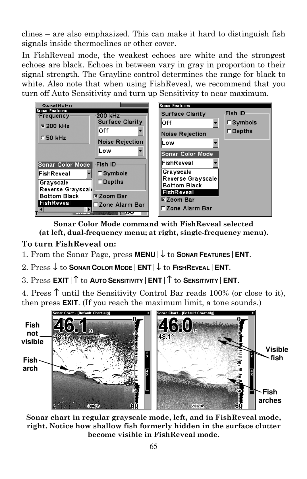 Eagle Electronics 320, 320DF manual To turn FishReveal on, Fish Not Visible Fishfish arch Fish arches 