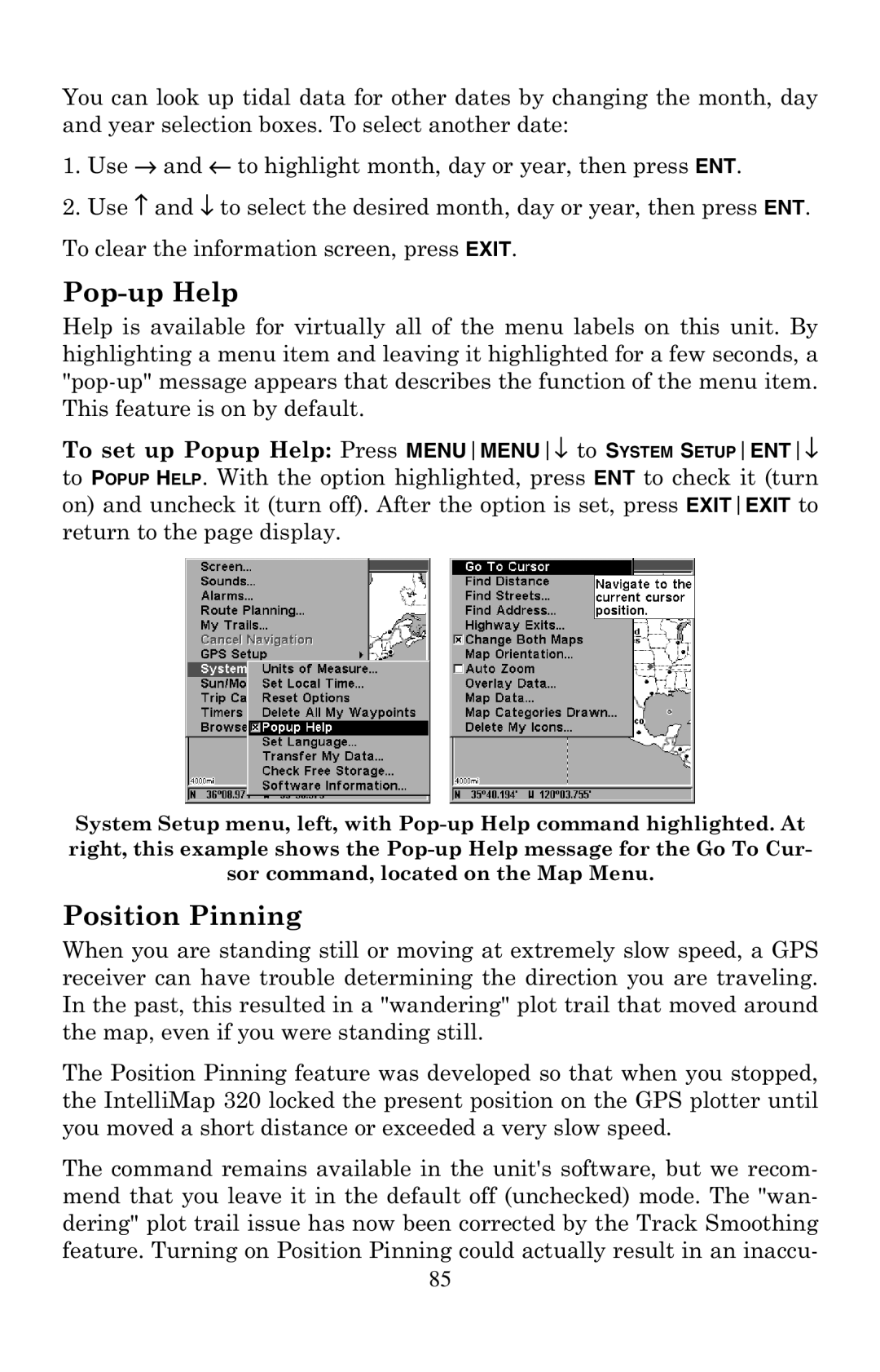 Eagle Electronics 320 manual Pop-up Help, Position Pinning 