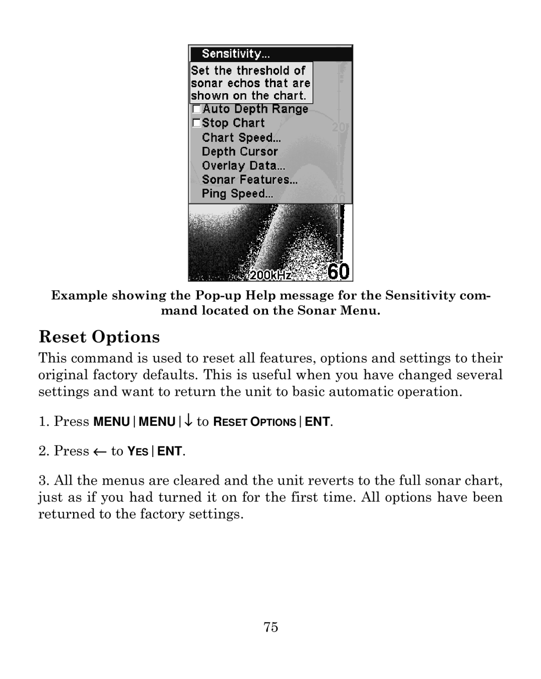 Eagle Electronics 640c manual Reset Options 