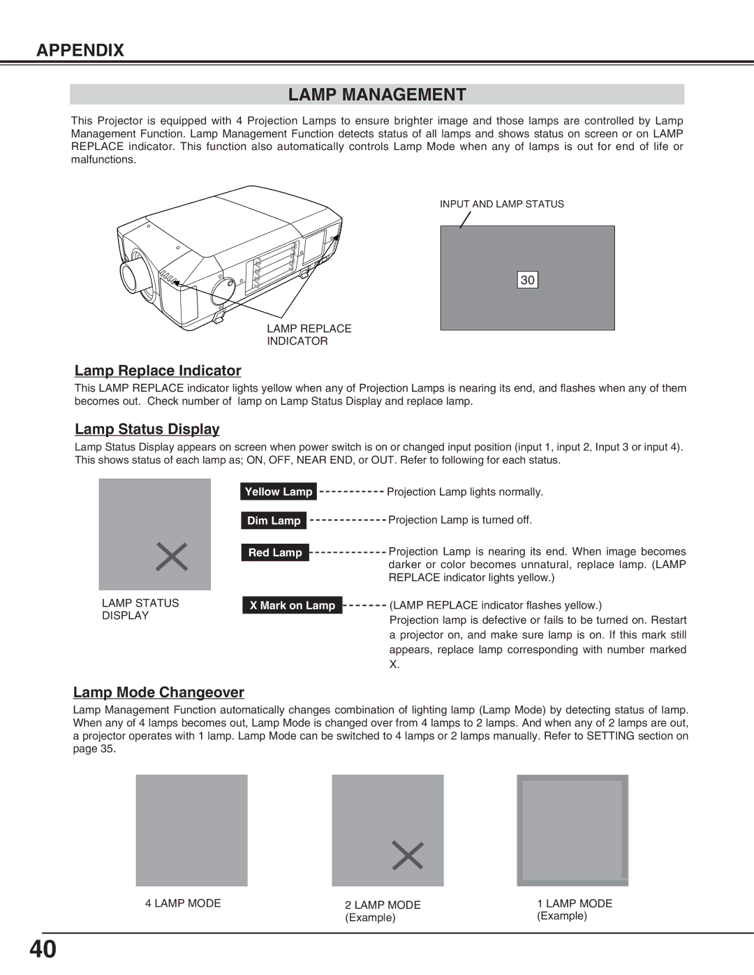 Eiki LC-HDT10 Appendix Lamp Management, Yellow Lamp Dim Lamp Red Lamp, Lamp Status, Mark on Lamp, Display 