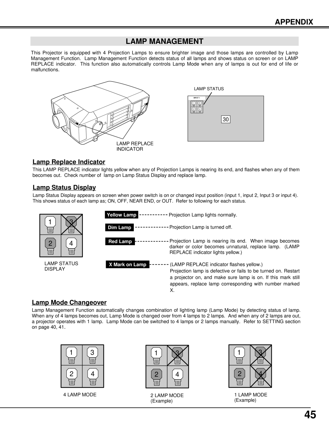 Eiki LC-XT3 instruction manual Appendix Lamp Management, Yellow Lamp Dim Lamp Red Lamp Mark on Lamp 