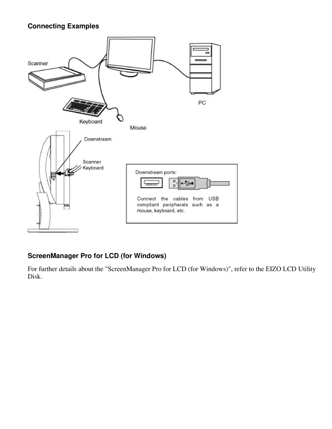 Eizo S2410W specifications Connecting Examples ScreenManager Pro for LCD for Windows 