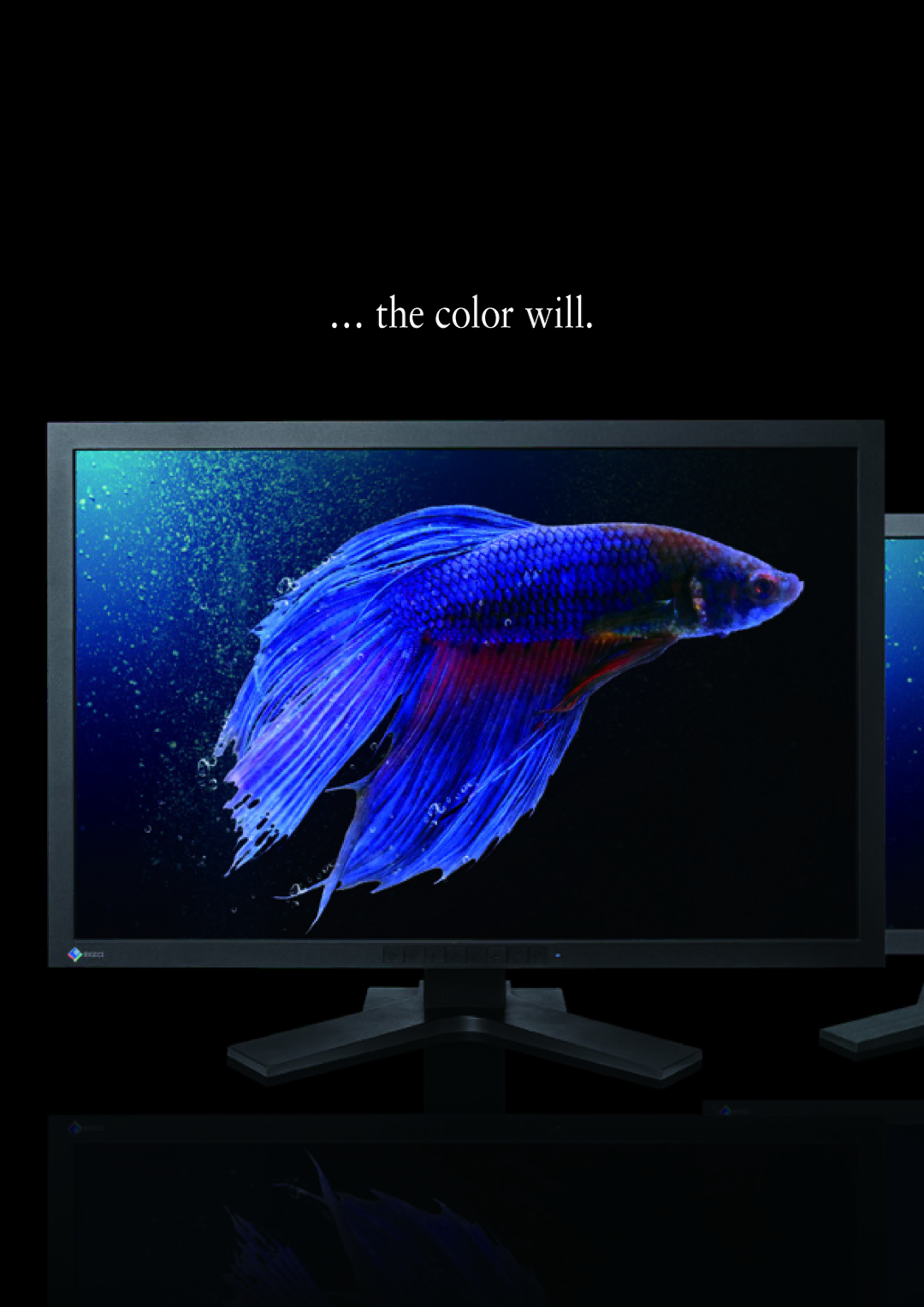 Eizo SX Series manual … the color will 