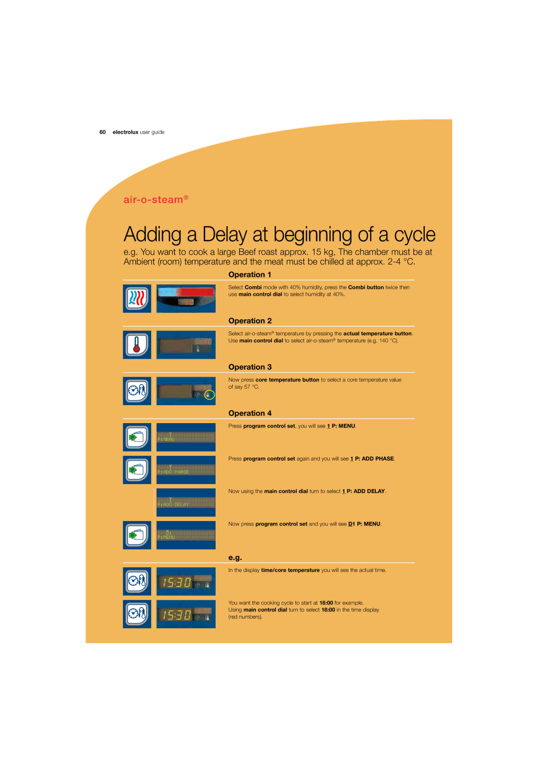 Electrolux 180 manual Adding a Delay at beginning of a cycle 