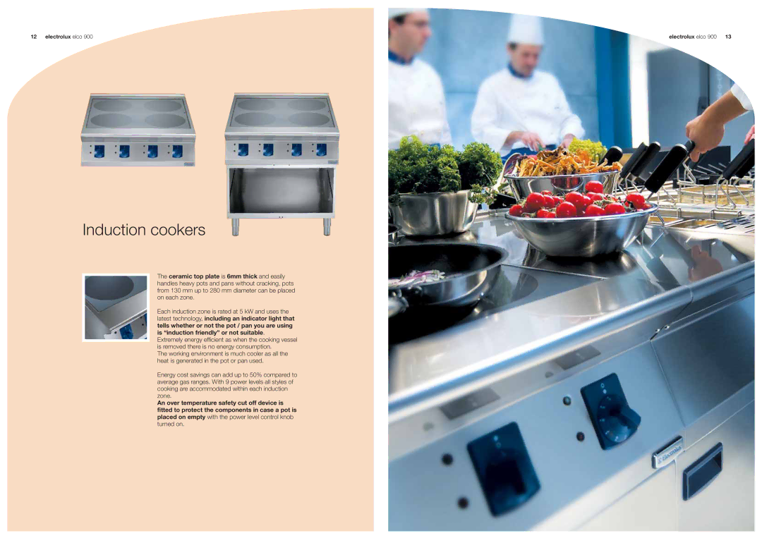 Electrolux 900 manual Induction cookers 