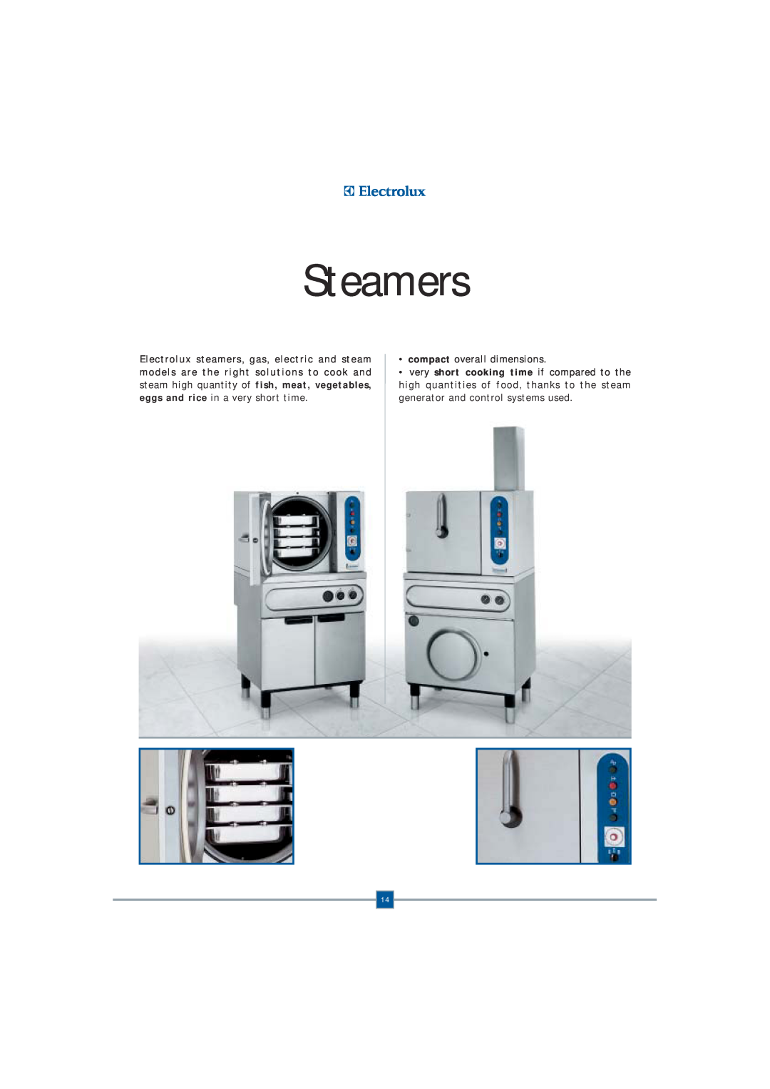 Electrolux Fryer manual Steamers 