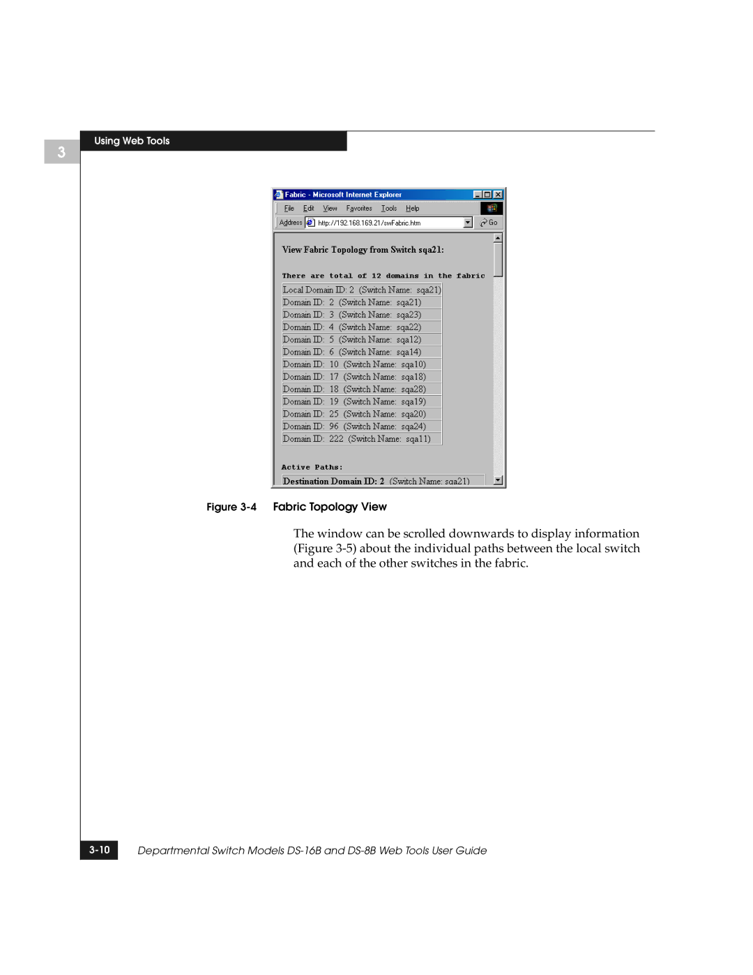 EMC DS-8B manual 4Fabric Topology View 