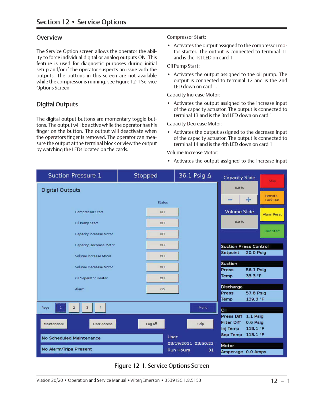 Emerson 20/20 service manual Service Options, Digital Outputs 