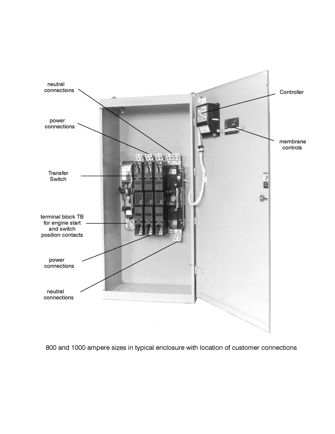 Emerson 300 manual 