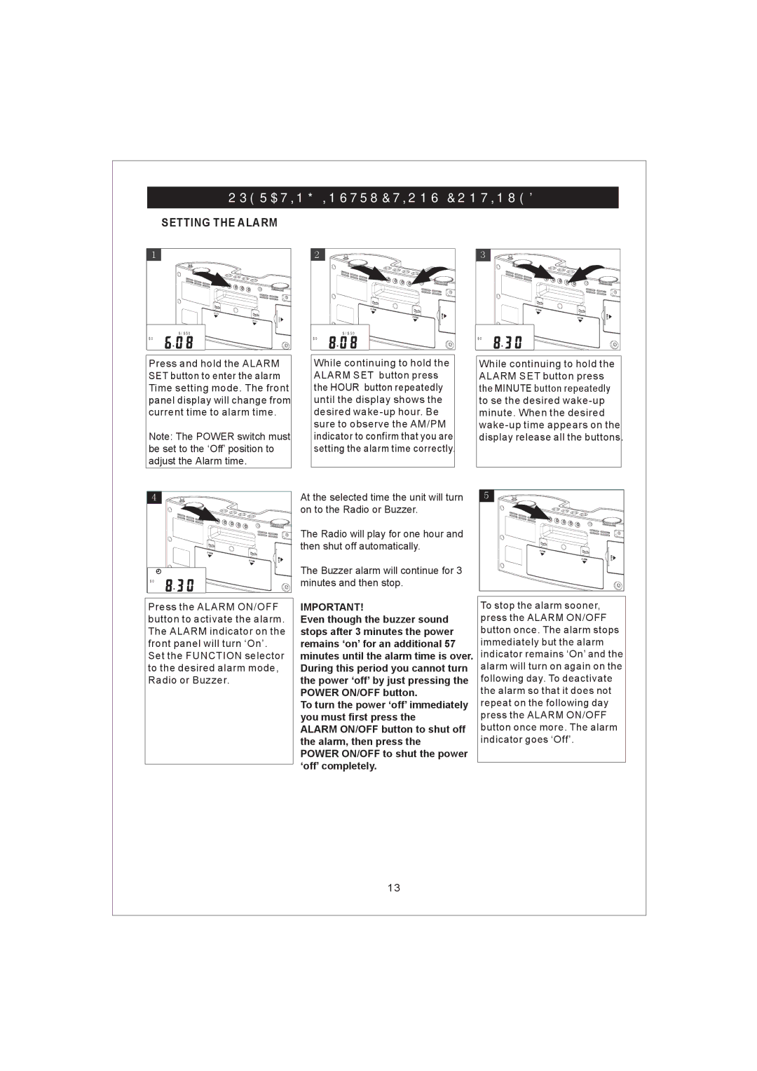 Emerson iP100 owner manual Setting the Alarm 