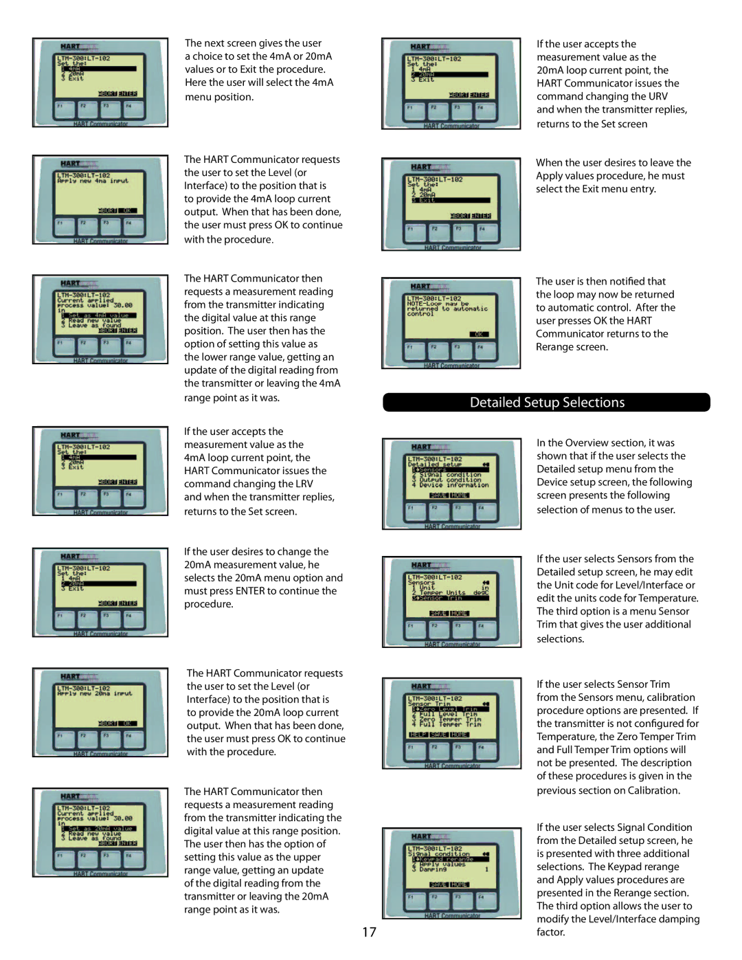 Emerson LTM-300 manual Detailed Setup Selections 