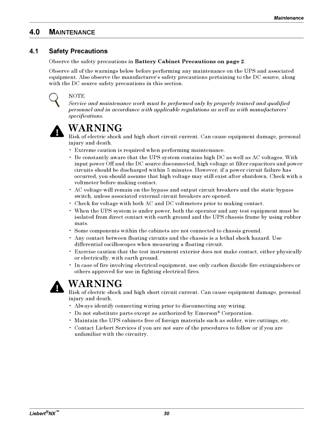 Emerson NX manual Safety Precautions 