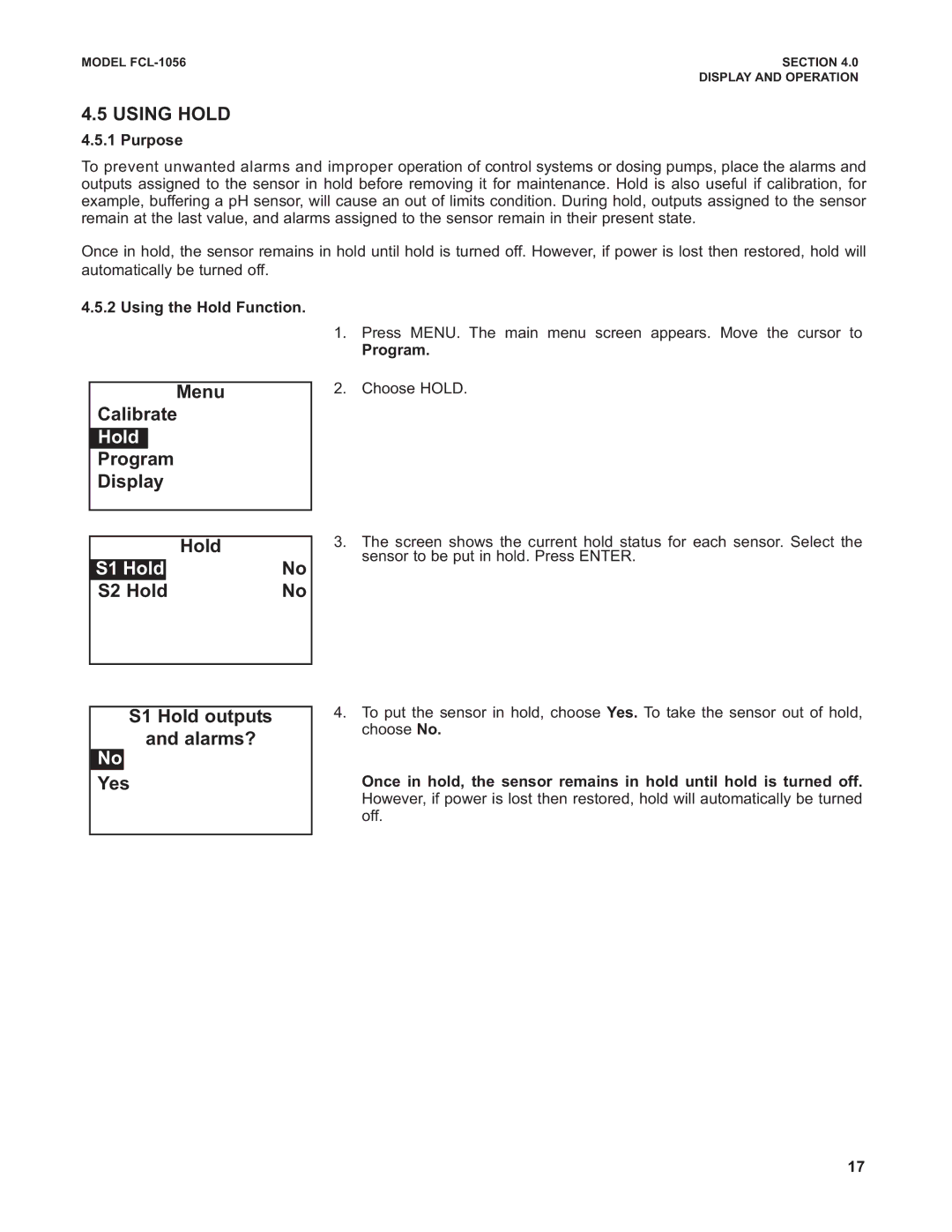 Emerson PN 51-FCL-1056 instruction manual Using Hold 