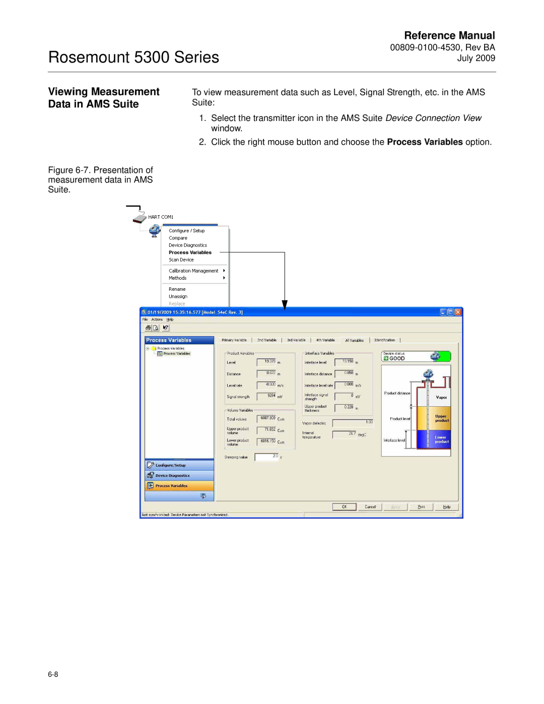 Emerson Process Management 5300 manual Viewing Measurement Data in AMS Suite 