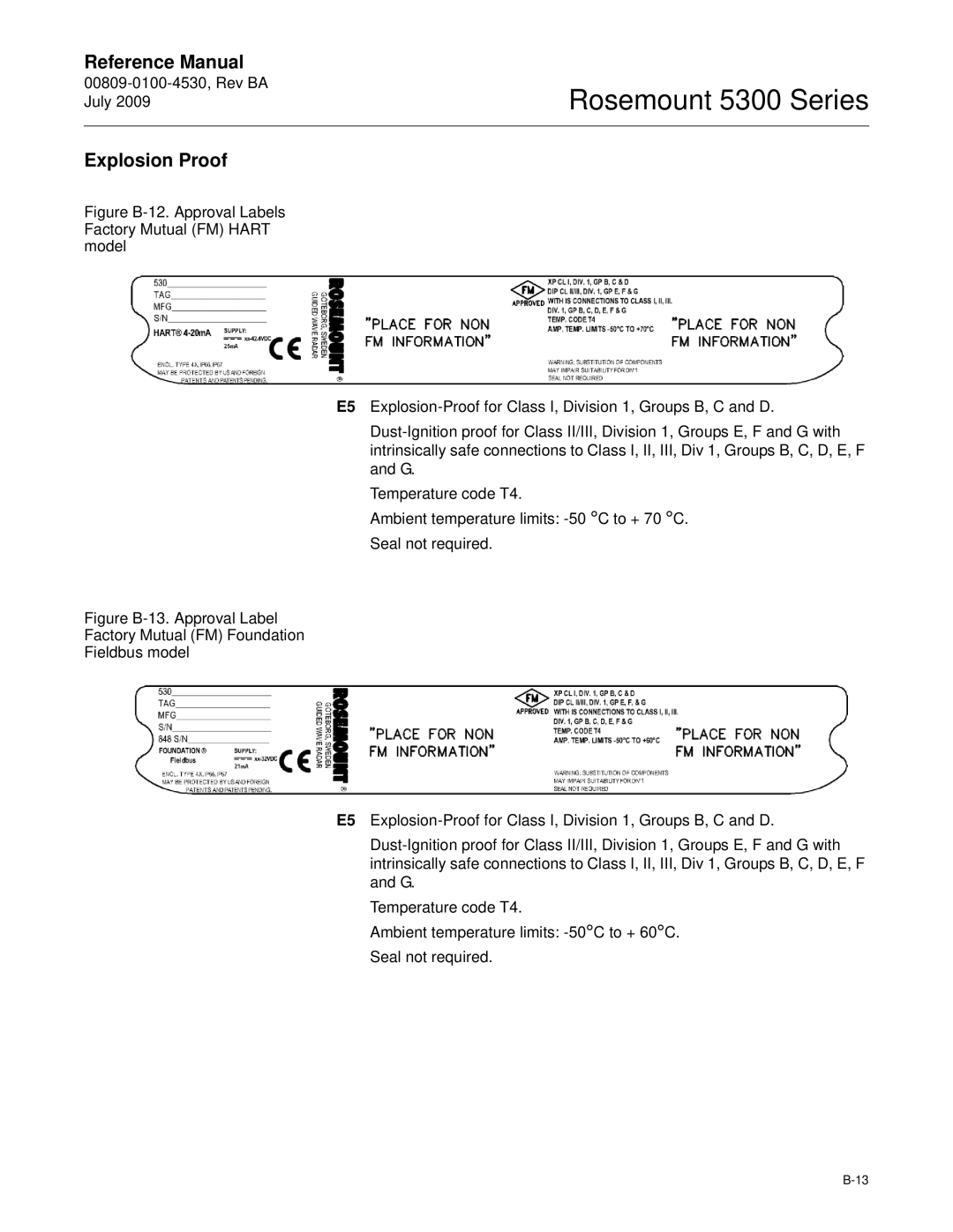 Emerson Process Management 5300 manual Explosion Proof 