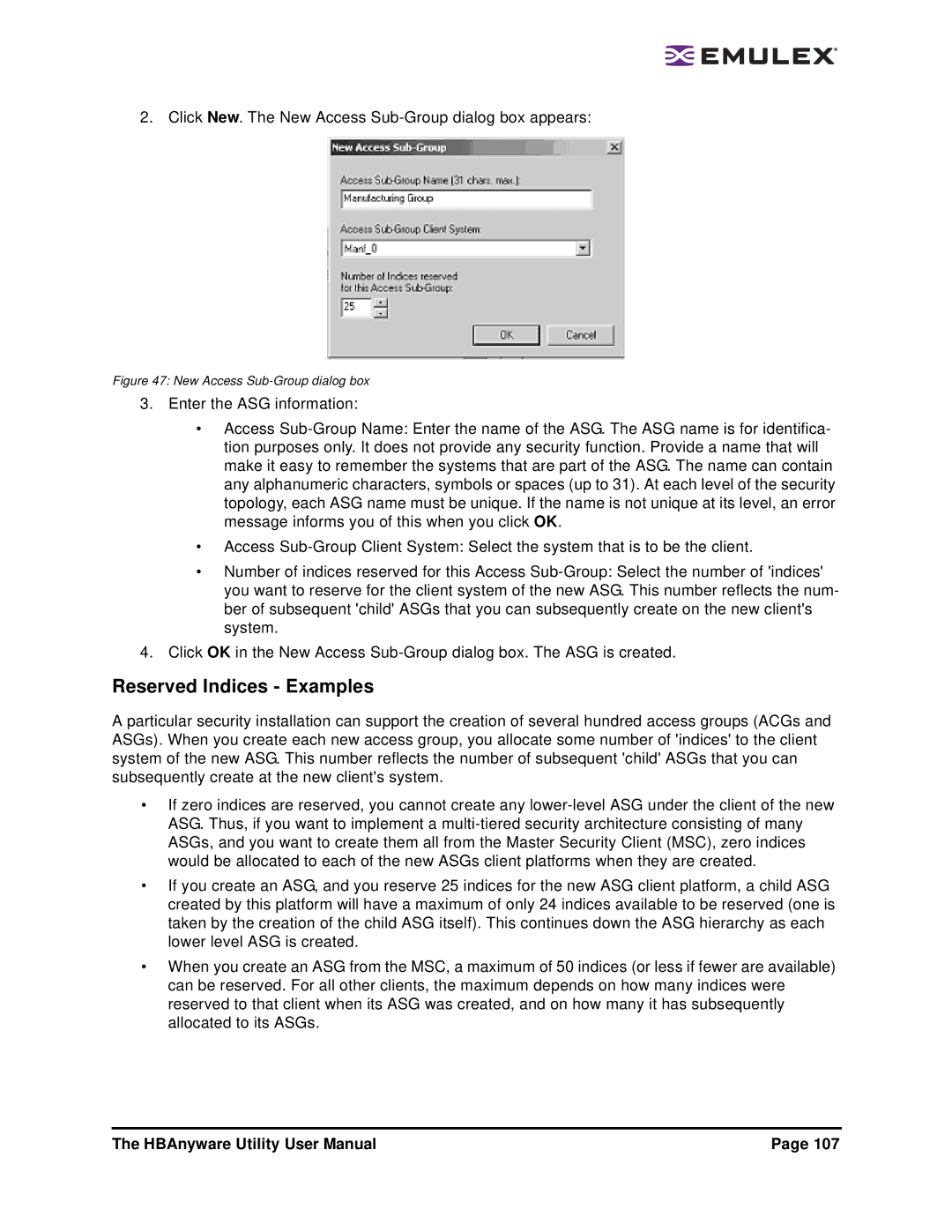 Emulex 3.4 user manual Reserved Indices Examples, New Access Sub-Group dialog box 