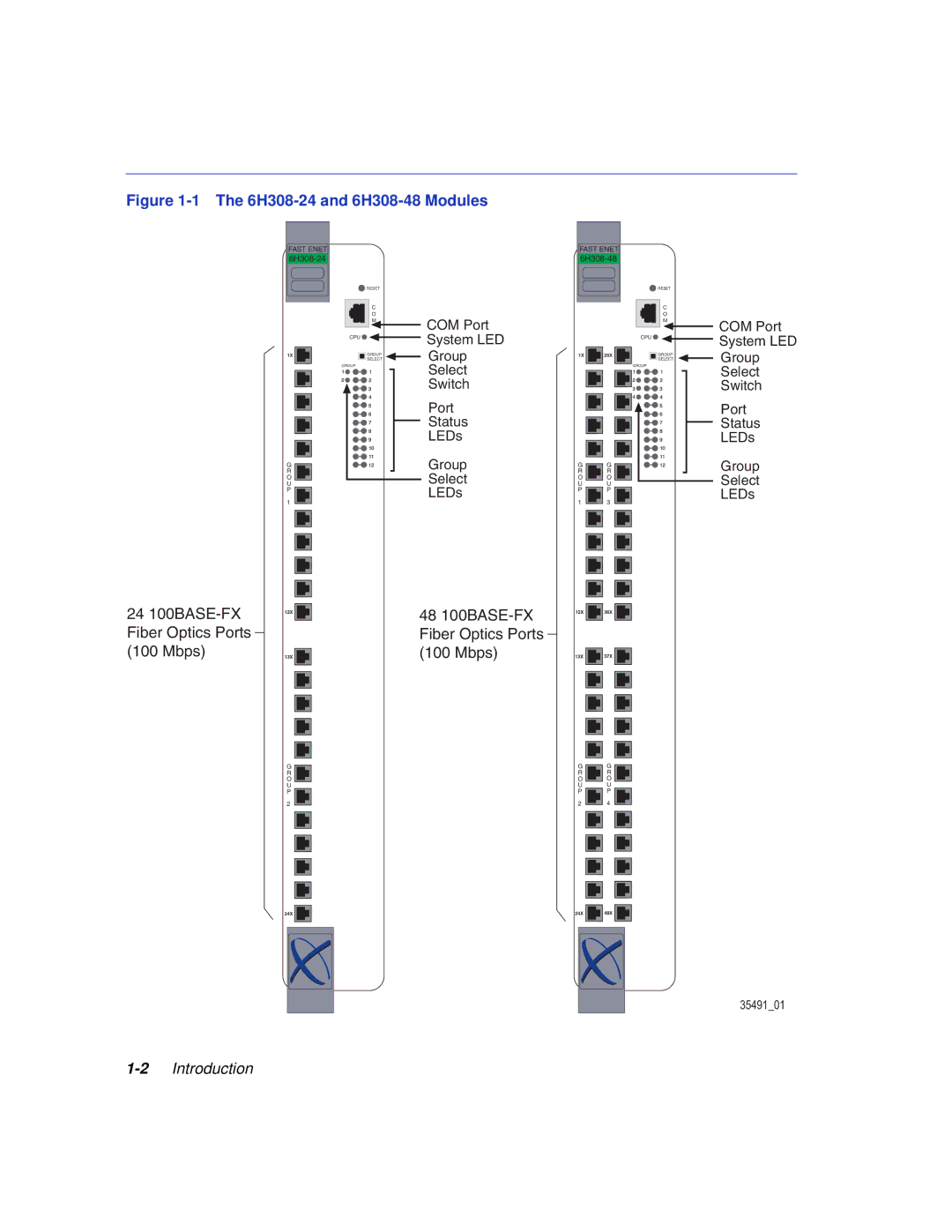 Enterasys Networks manual 6H308-24 and 6H308-48 Modules 