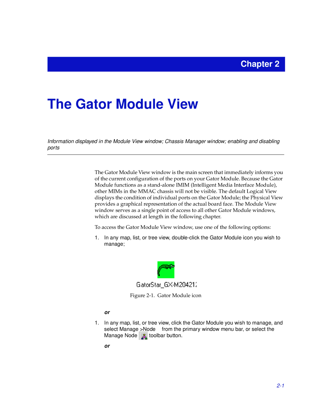 Enterasys Networks GatorMIM and GatorStar manual Gator Module View 