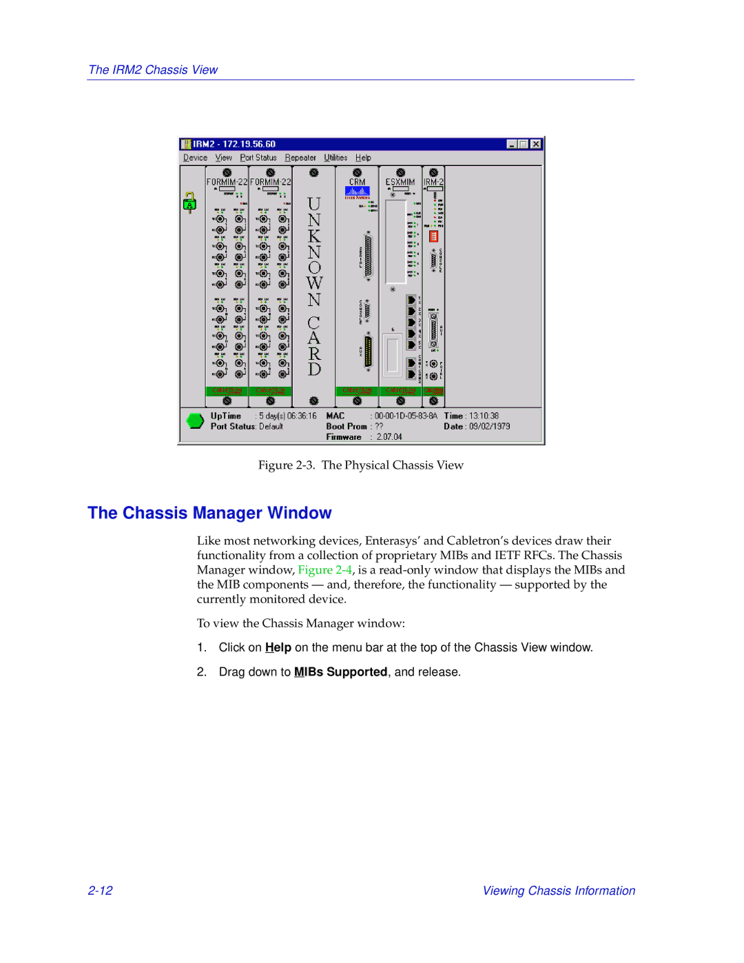 Enterasys Networks IRM2 manual Chassis Manager Window, Physical Chassis View 