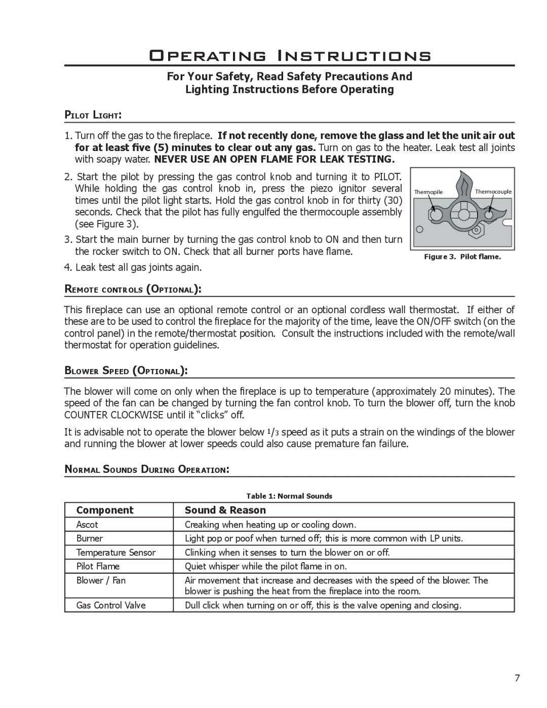 Enviro VENTED GAS FIREPLACE HEATER owner manual Component Sound & Reason, Pilot flame 