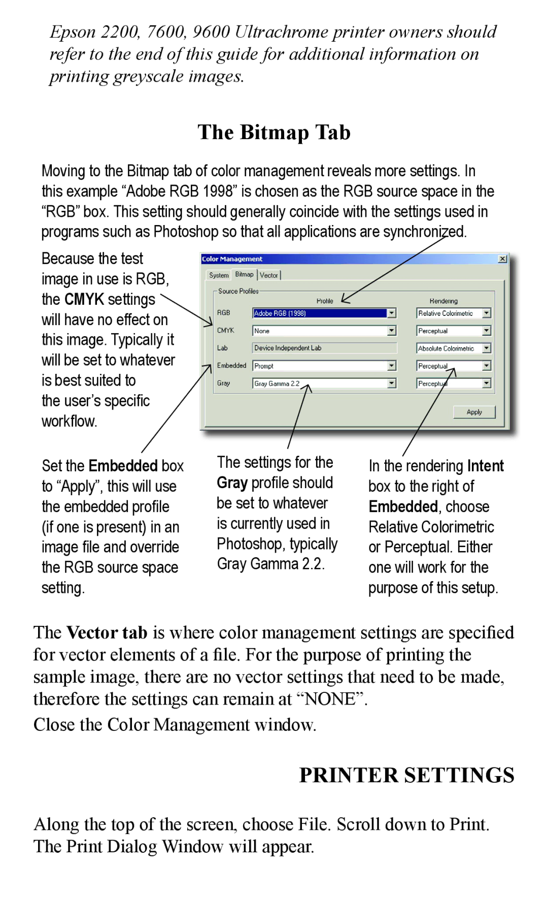 Epson 2000/XP quick start Bitmap Tab, Printer Settings 