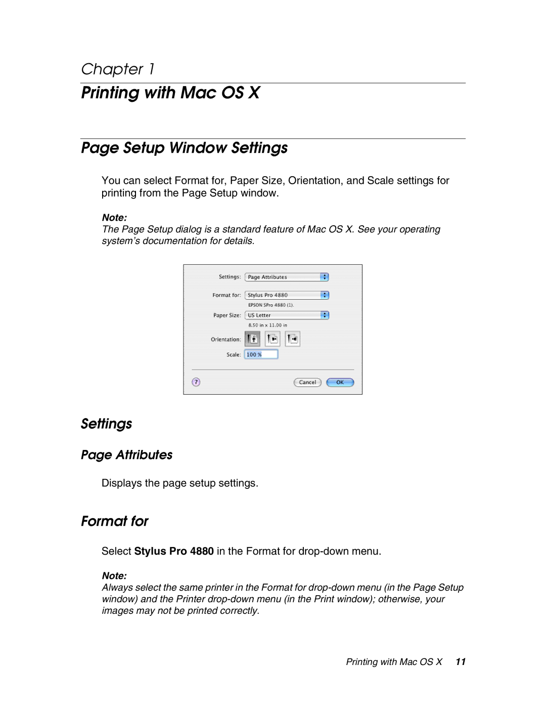 Epson 4880 manual Chapter, Setup Window Settings, Format for, Attributes 