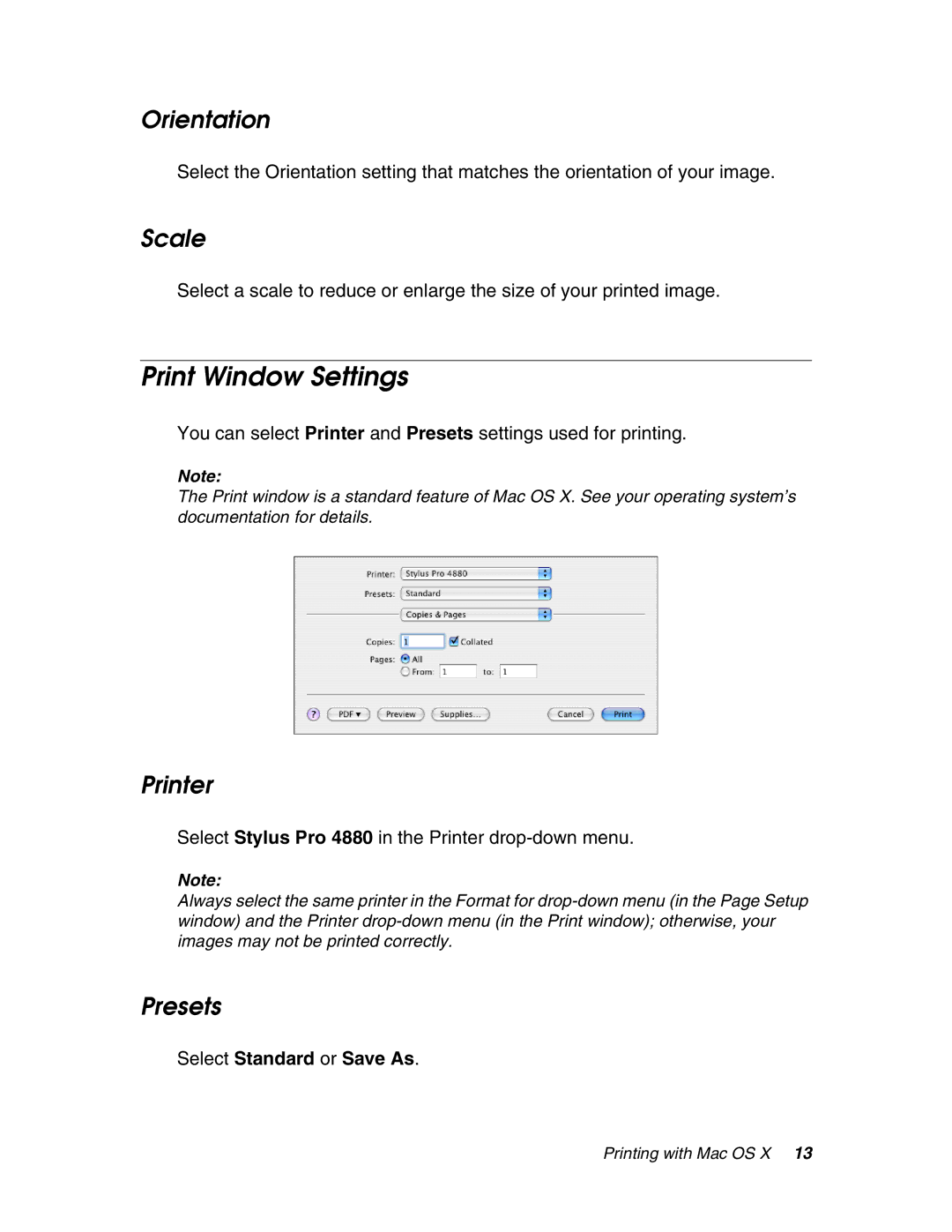 Epson 4880 manual Print Window Settings, Orientation, Scale, Printer, Presets 