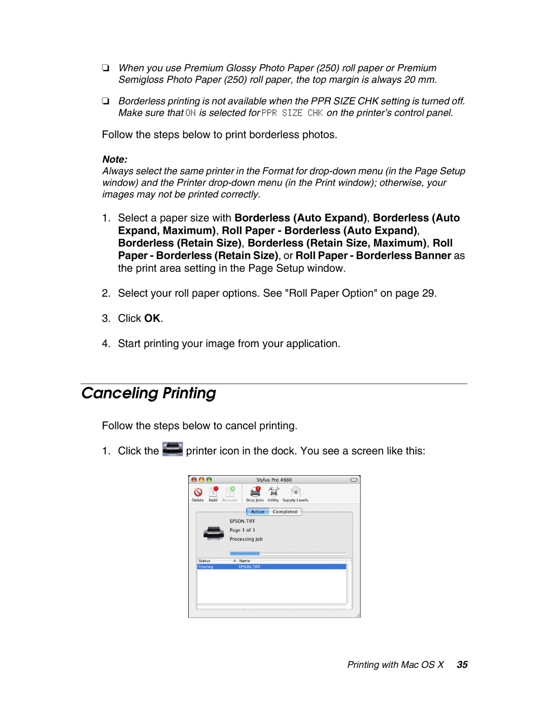 Epson 4880 manual Canceling Printing, Follow the steps below to print borderless photos 