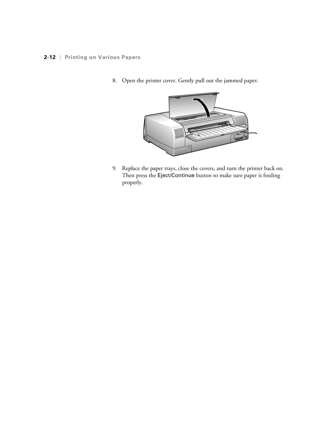 Epson 5500 manual 12Printing on Various Papers 