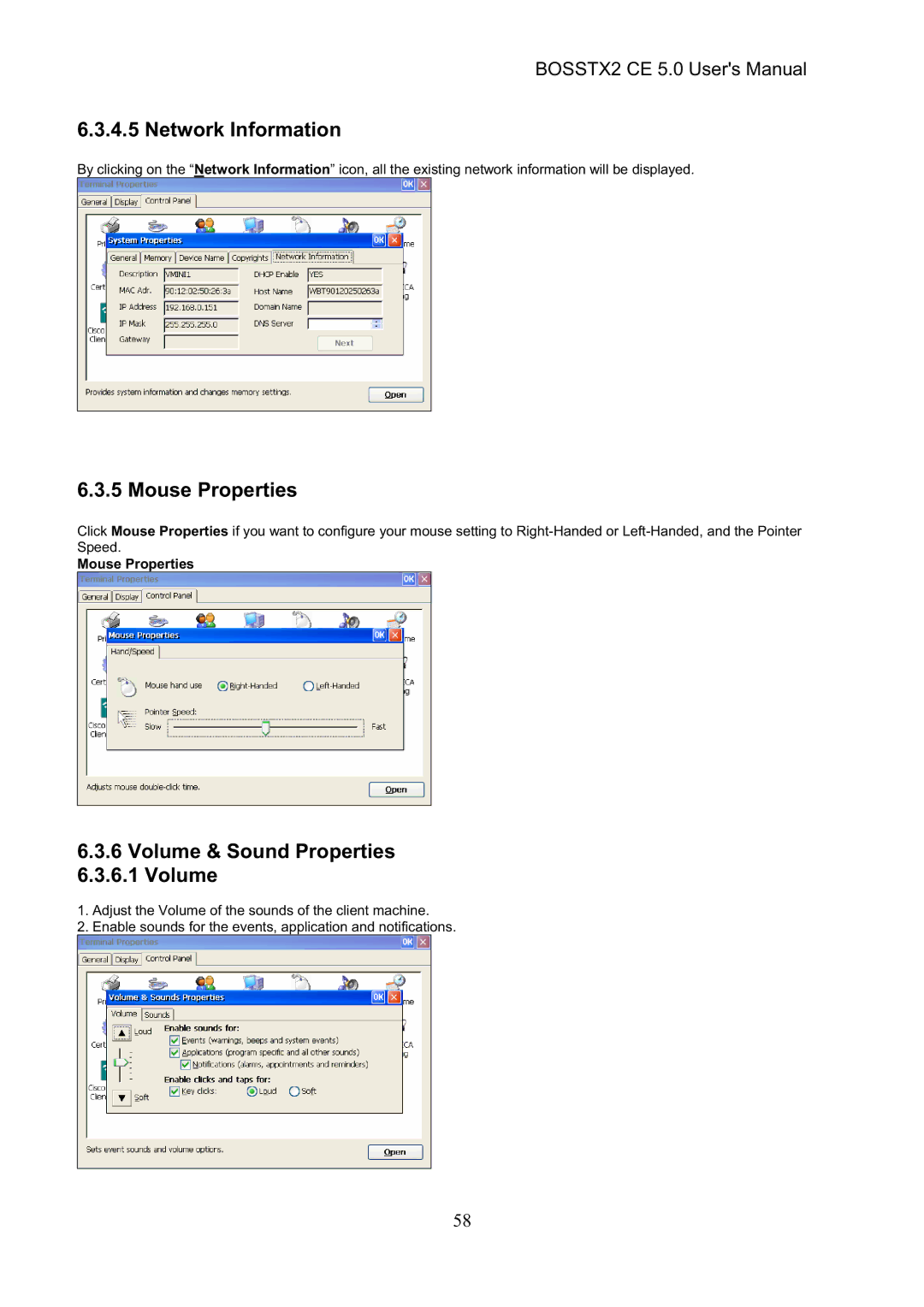 Epson BOSSTX2 CE 5.0 manual Network Information, Mouse Properties, Volume & Sound Properties 6.3.6.1 Volume 