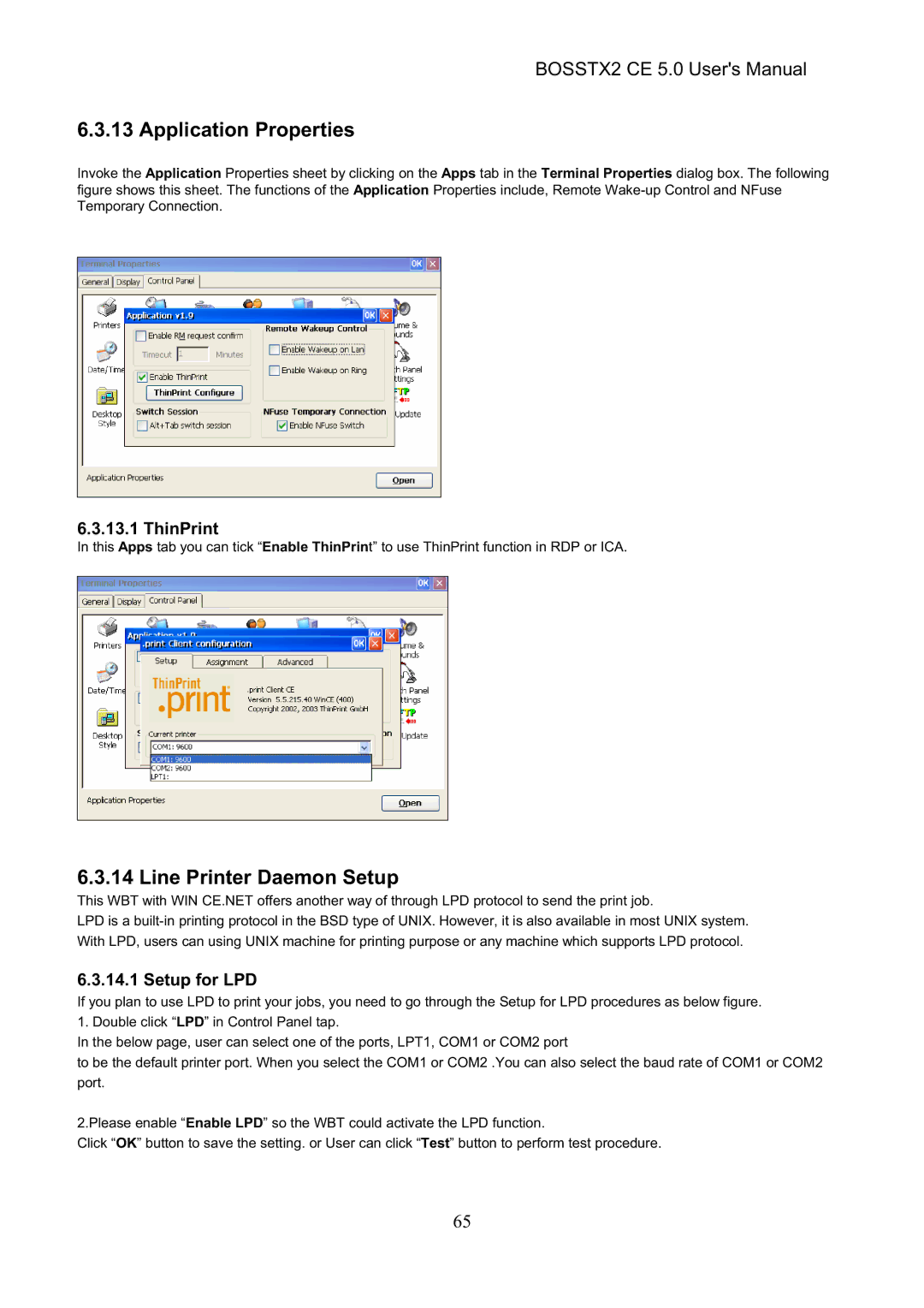 Epson BOSSTX2 CE 5.0 manual Application Properties, Line Printer Daemon Setup, ThinPrint, Setup for LPD 