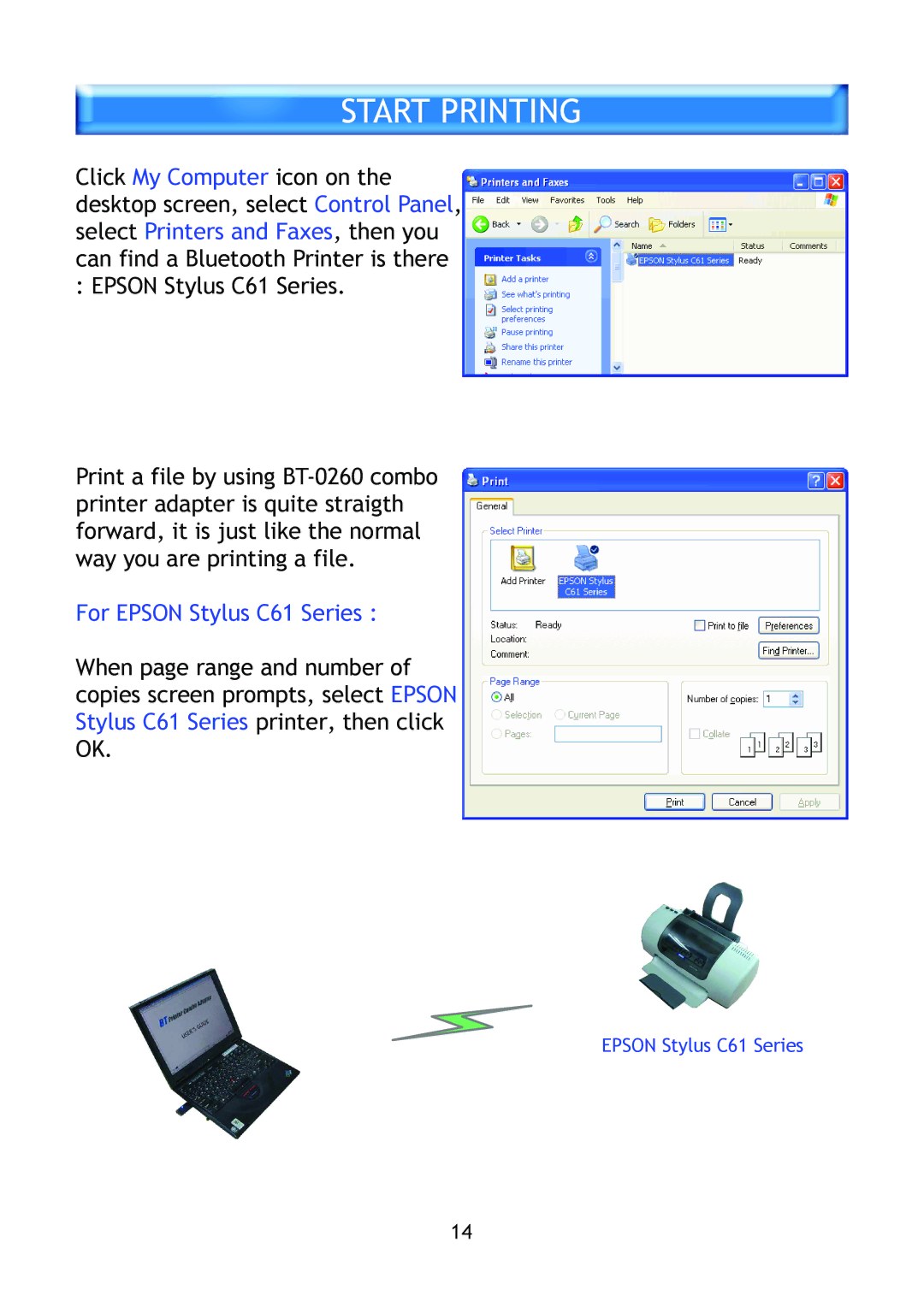 Epson BT-0260 manual Start Printing, For Epson Stylus C61 Series 