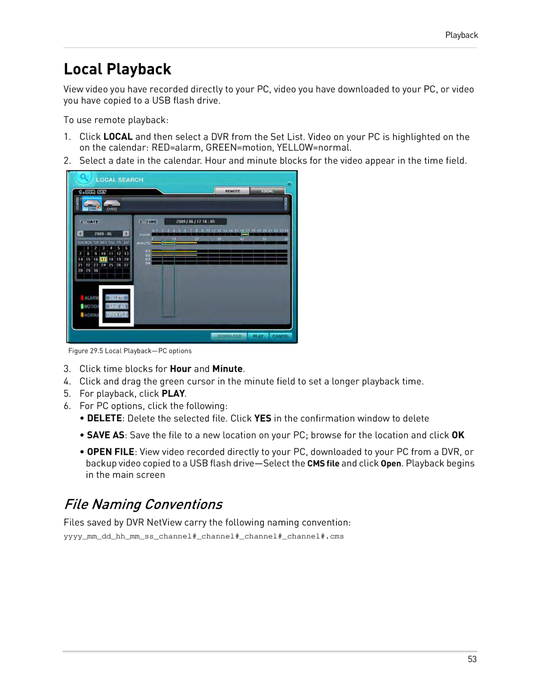 Epson DH200 instruction manual Local Playback, File Naming Conventions 