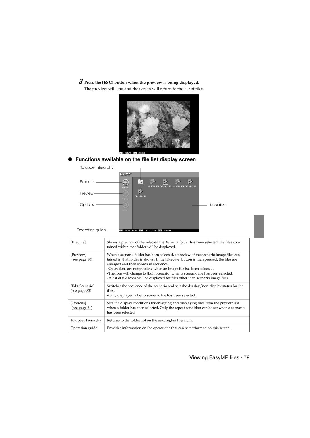 Epson EMP-715/505 manual Functions available on the file list display screen 