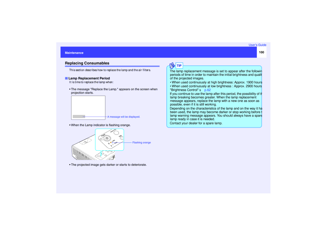 Epson EMP-737, EMP-740, EMP-732 manual Replacing Consumables, Lamp Replacement Period, Maintenance, 100 