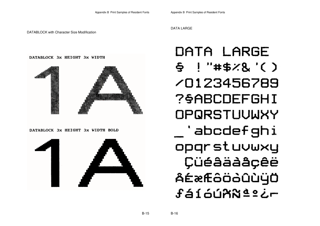 Epson MTX 1345 manual Data Large, Datablock with Character Size Modification 15B-16 