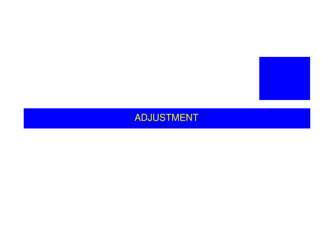 Epson N2700 manual Adjustment 