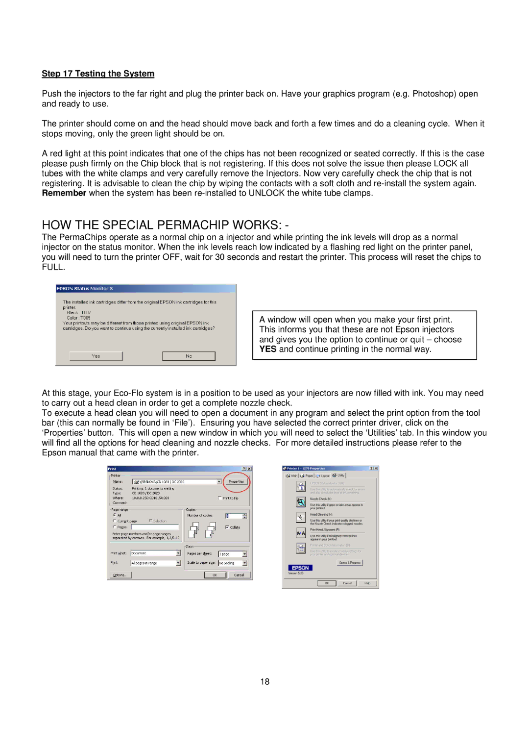 Epson R1400 installation instructions HOW the Special Permachip Works, Testing the System 