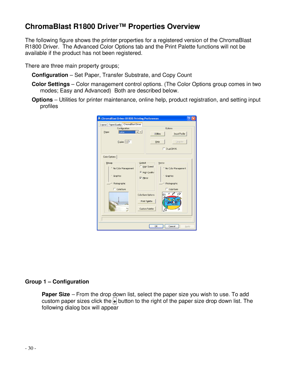 Epson manual ChromaBlast R1800 Driver Properties Overview, Group 1 Configuration 