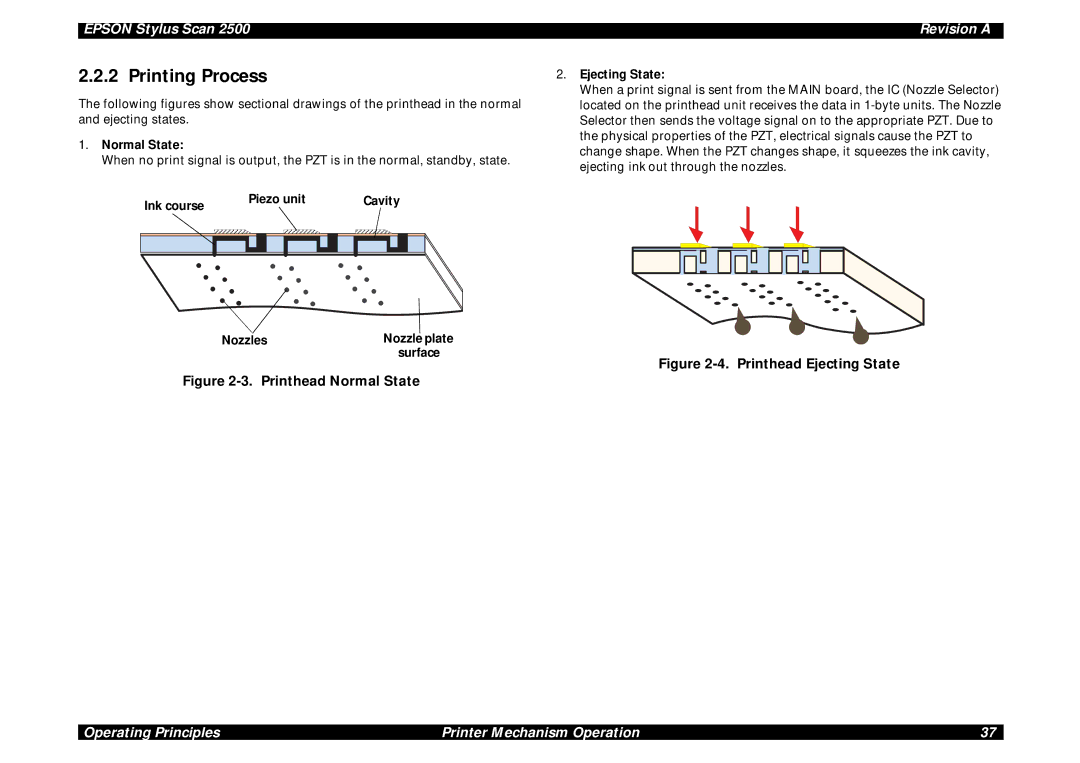 Epson Scan 2500 service manual Printing Process, Normal State, Ink course Piezo unit Cavity Ejecting State, Nozzles 