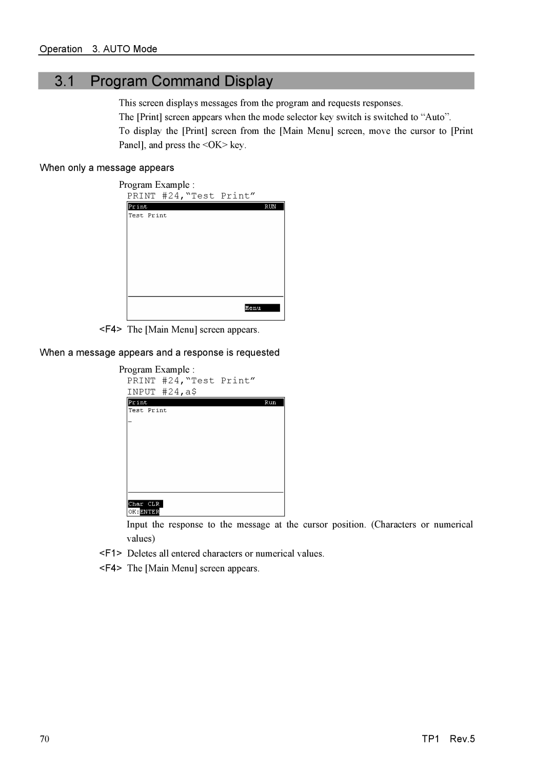 Epson TP1 manual Program Command Display, When only a message appears 