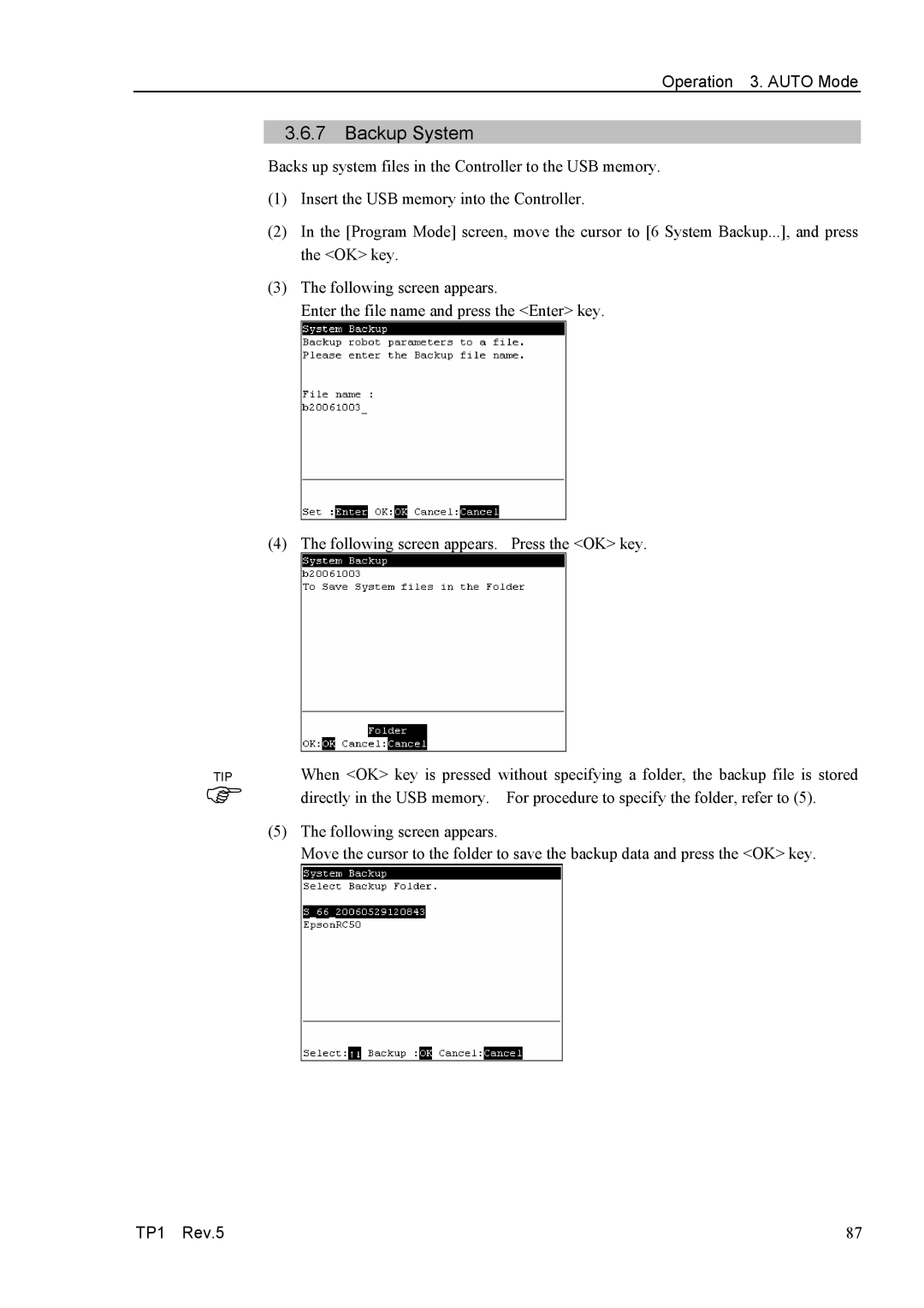 Epson TP1 manual Backup System 